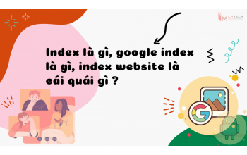 Index là gì, google index là gì, index website là cái quái gì ?